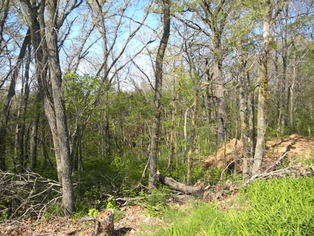 Oerly Rd Prairie Jamestown, MO 65046 - Photo 1 of 2