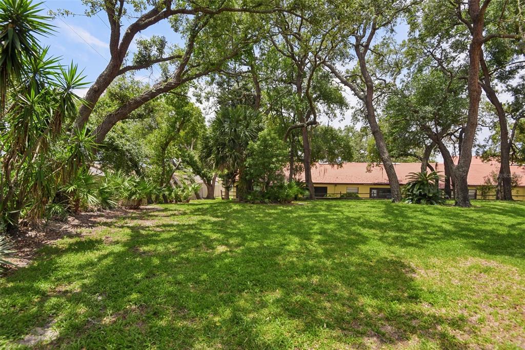8626 Shadblow Court, Unit 1 Port Richey, FL 34668 - Photo 25 of 26