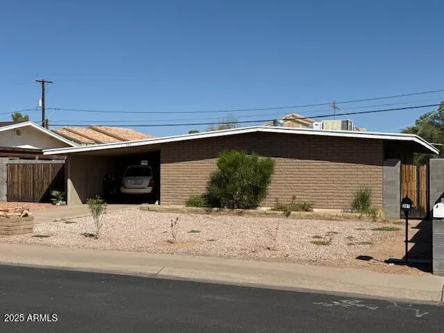 a view of balcony with a palm tree