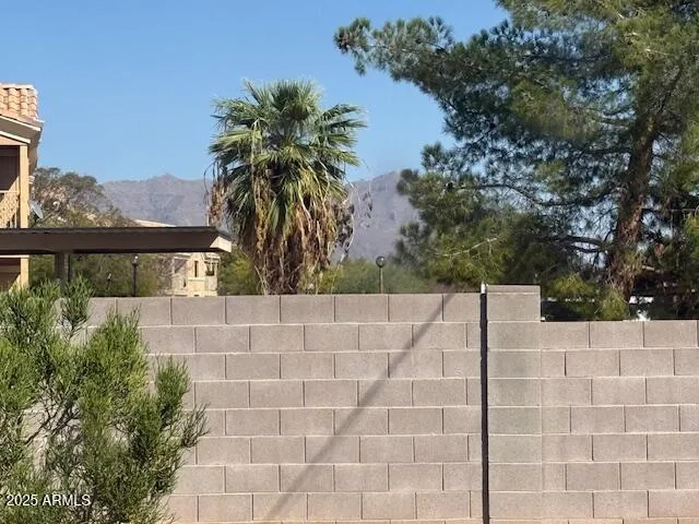 a view of a dry yard with wooden fence