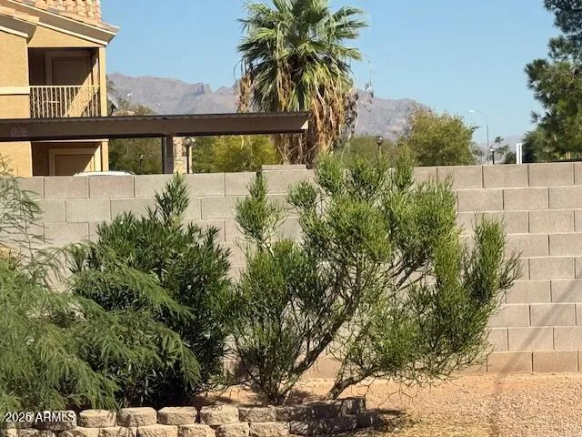 a backyard of a house