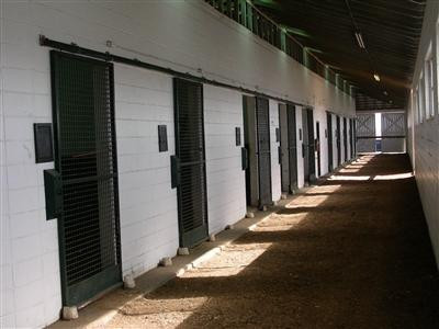 1384 Jackstown Road Paris, KY 40361 - Photo 3 of 15 Jog around training barn.