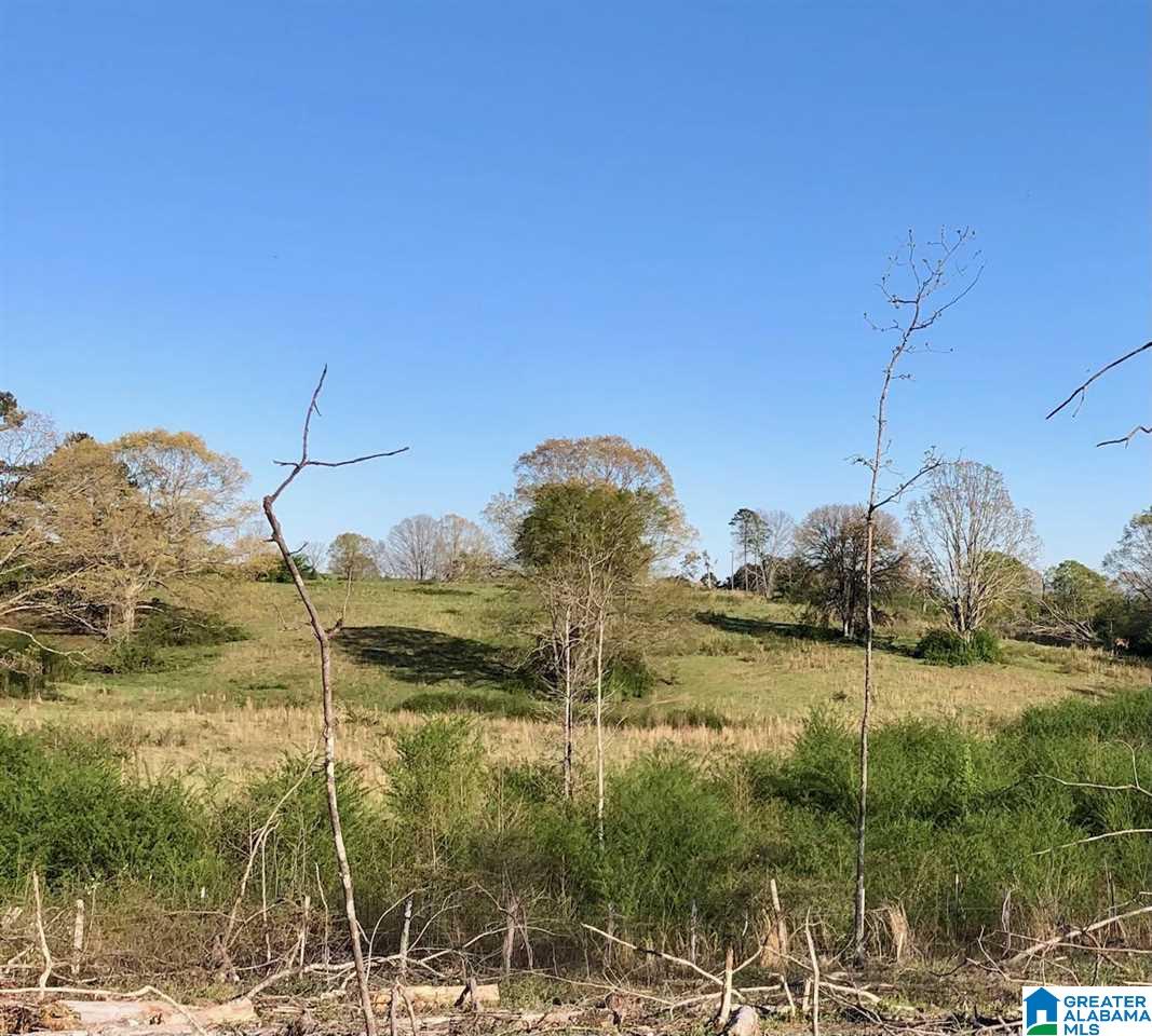 43-acres Wills Farm Road, Unit 43 ACRES Lincoln, AL 35096 - Photo 4 of 19