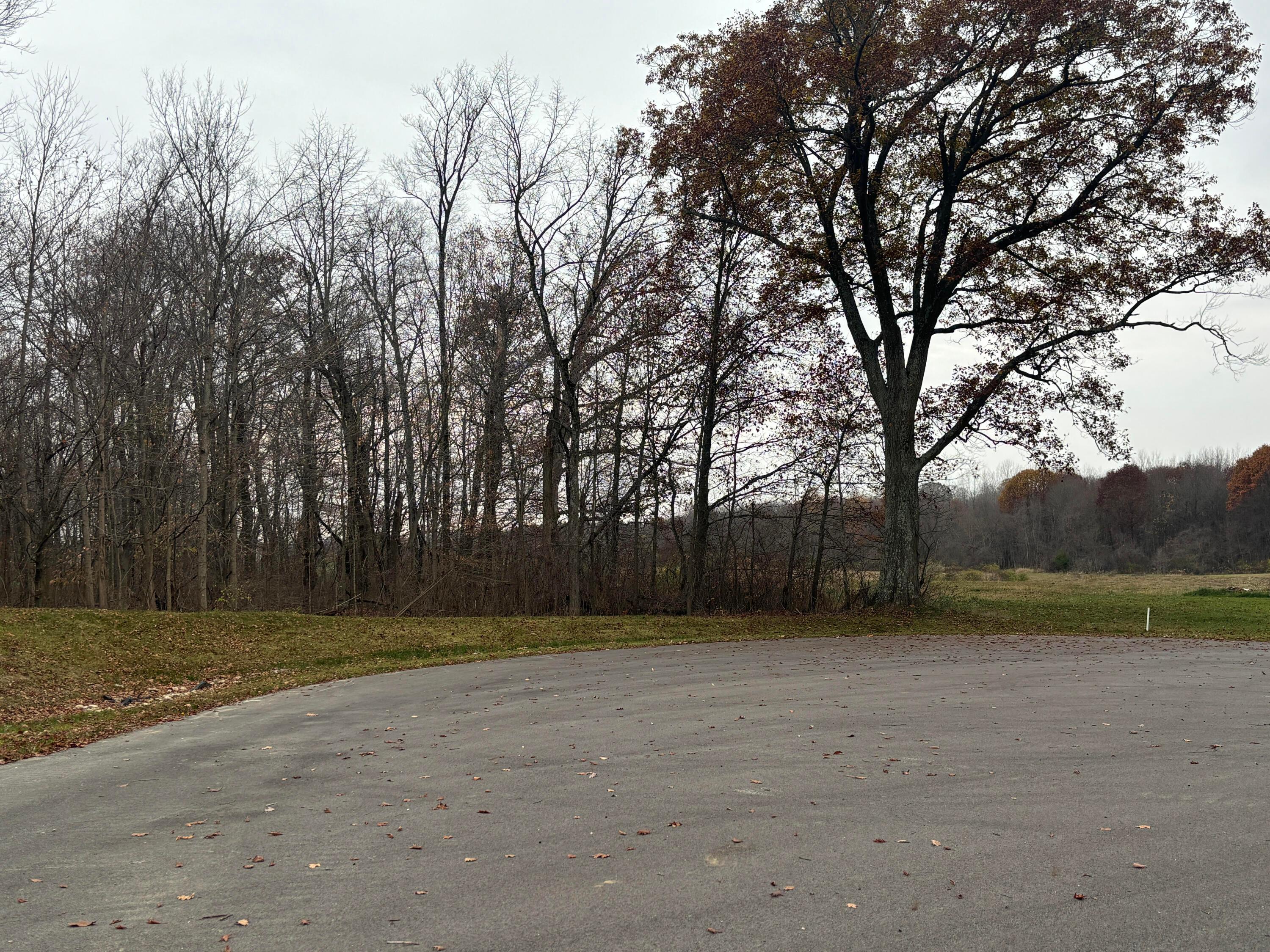 0 North Coyote Ridge Way Hebron, OH 43025 - Photo 2 of 8 1