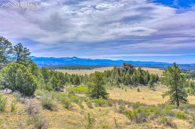 339 Chipper Road Guffey, CO 80820 - Photo 32 of 34 Looking southeast down the valley.