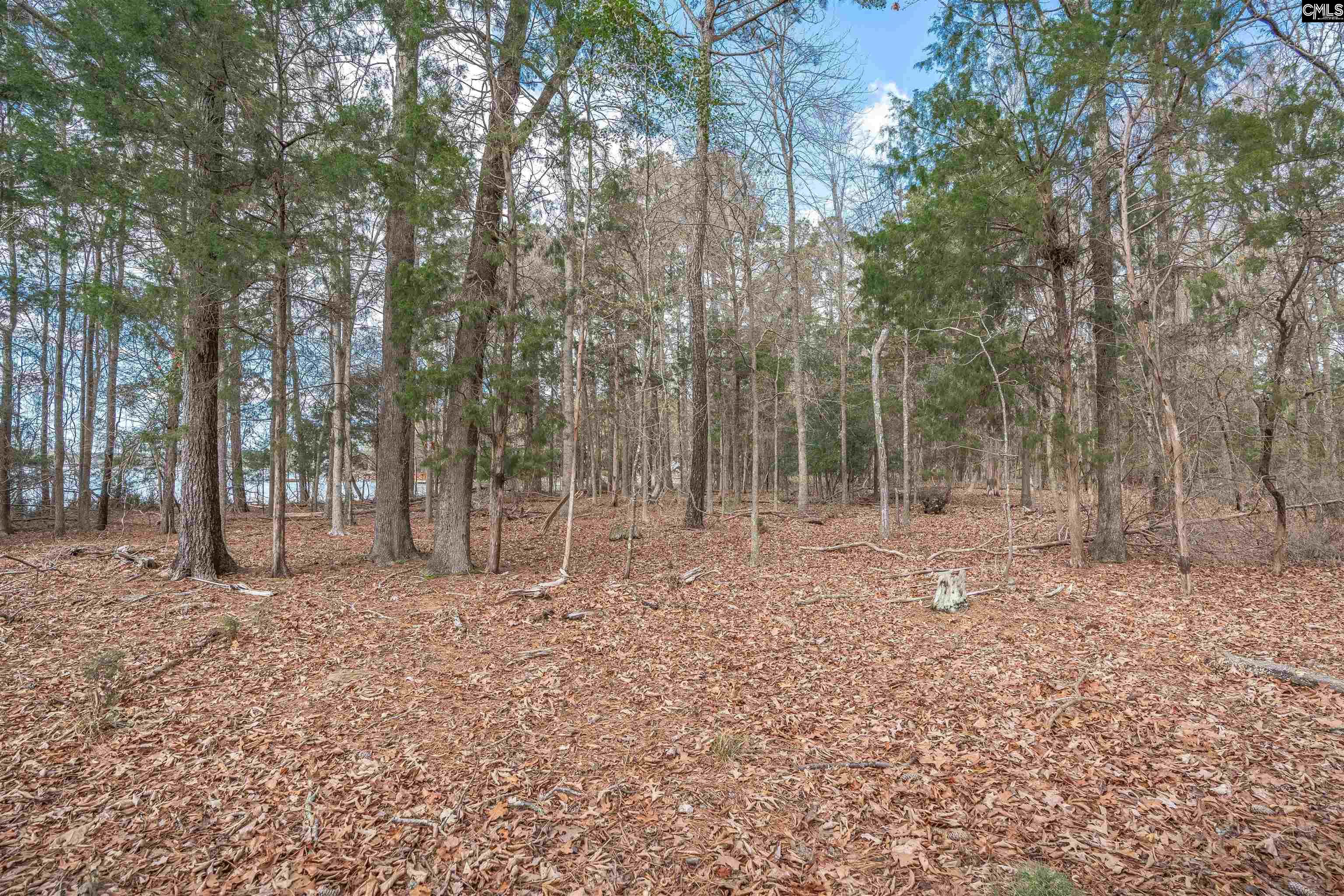 0 Circle H Woods Road Prosperity, SC 29127 - Photo 24 of 28