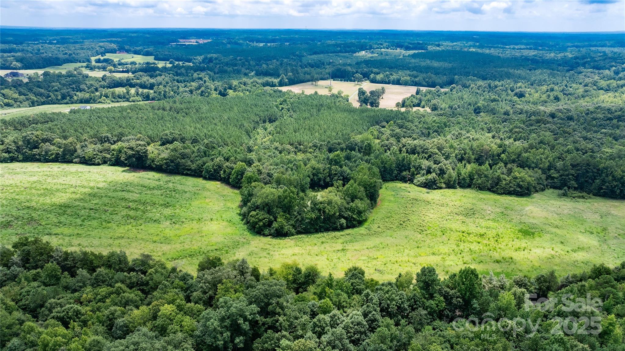 a view of a lush green outdoor space with a lake view