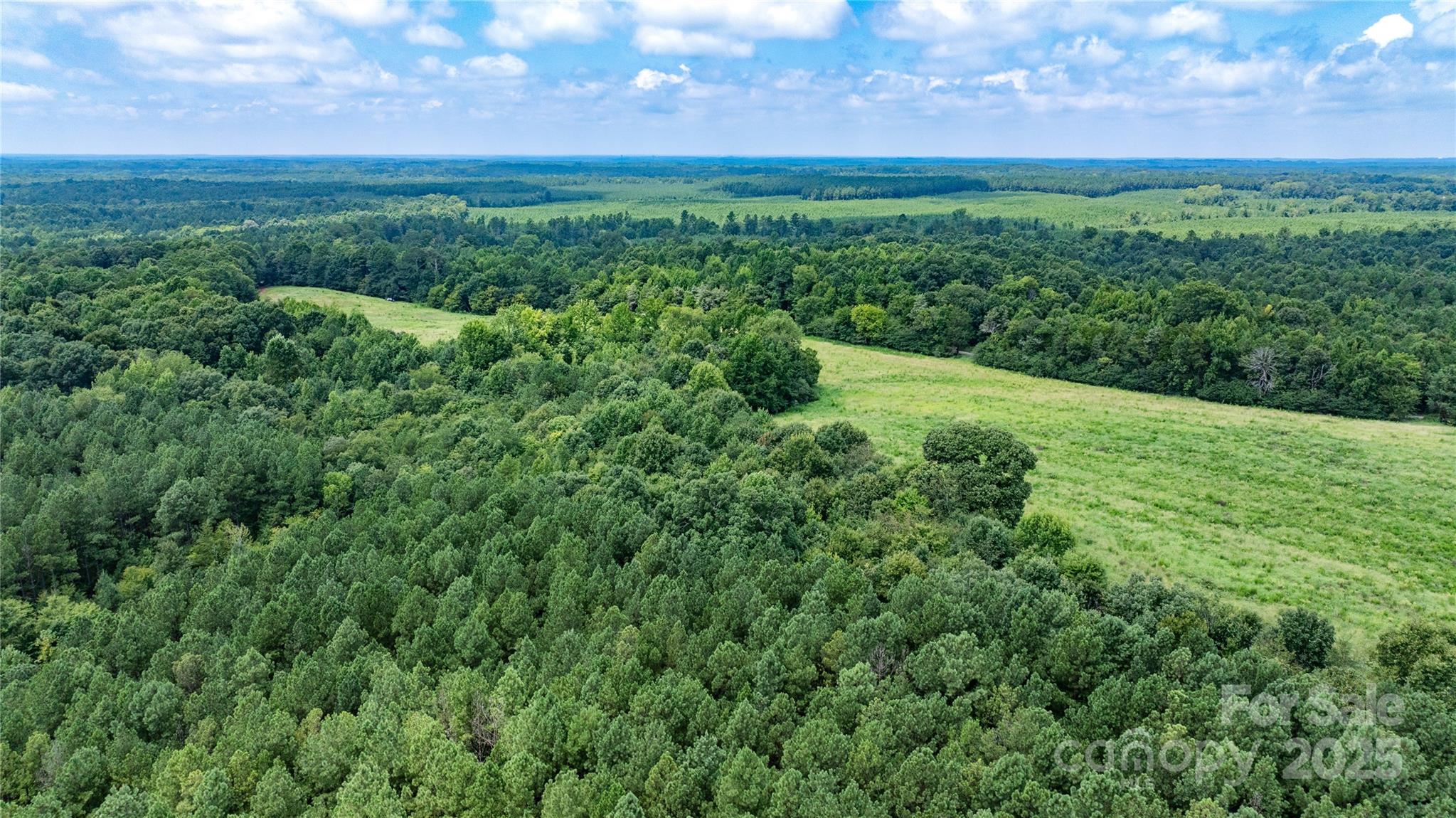 0 Daystar Road, Unit 16 Lancaster, SC 29720 - Photo 13 of 20 a view of a yard with an outdoor space and street view