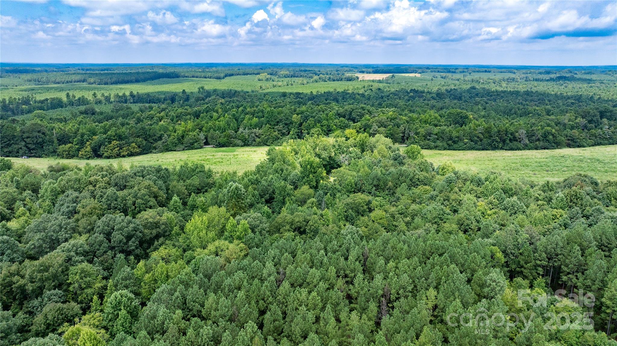 0 Daystar Road, Unit 16 Lancaster, SC 29720 - Photo 15 of 20 a view of a yard with an outdoor space and deck