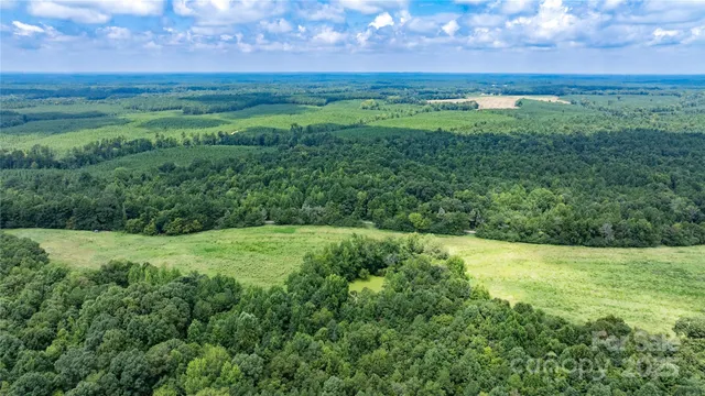a view of a field with an trees