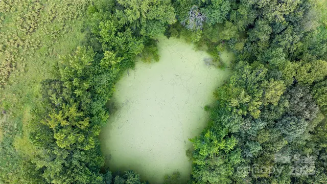 a view of a lake with a tree