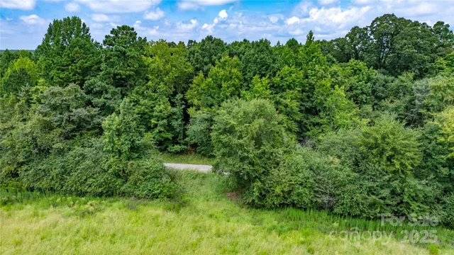 a view of a garden with a building in the background