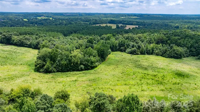 a view of a lush green field