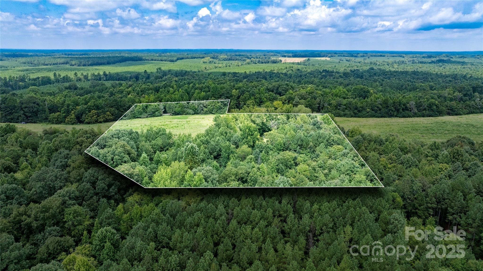 0 Daystar Road, Unit 16 Lancaster, SC 29720 - Photo 5 of 20 a view of a yard with a tree in the background