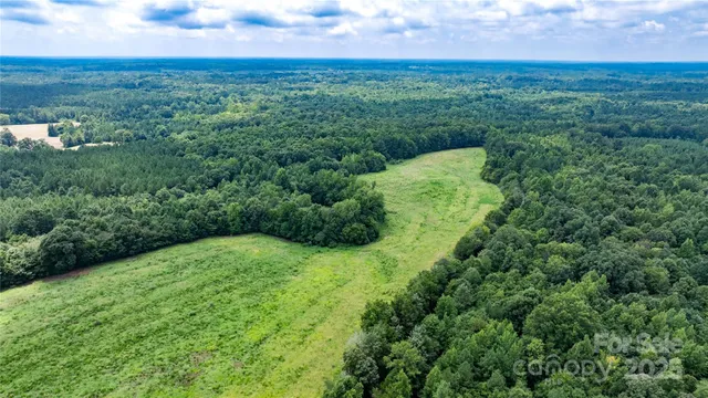 a view of a green field with lots of bushes