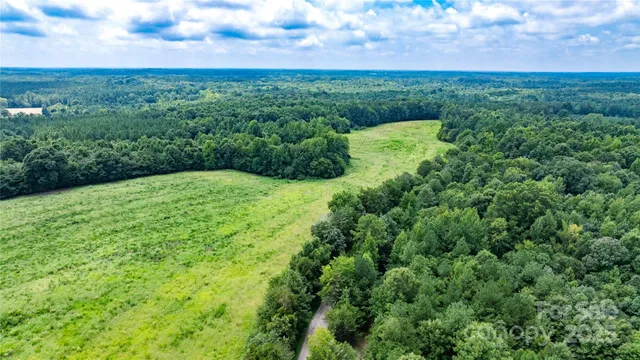 a view of a big yard with large trees