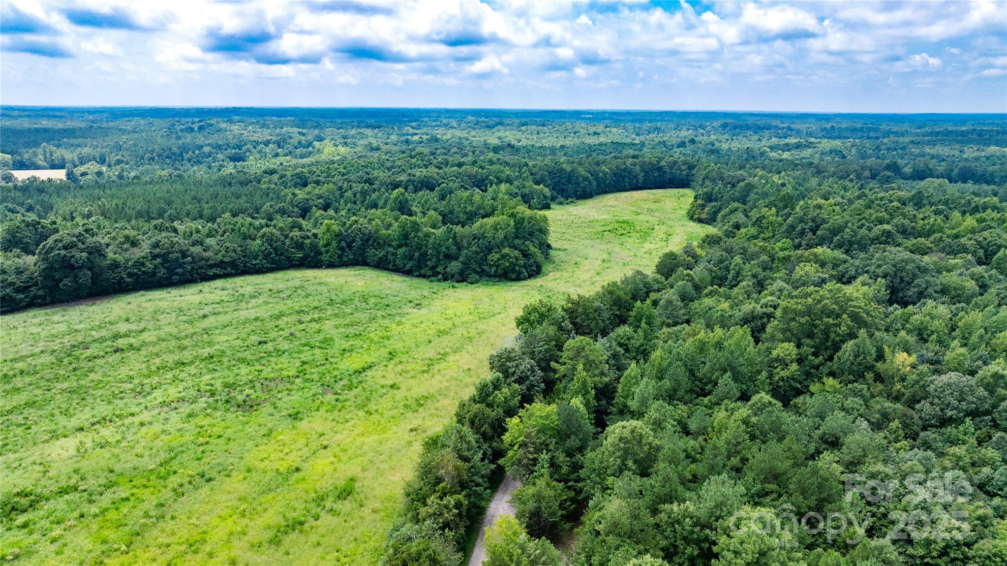 0 Daystar Road, Unit 16 Lancaster, SC 29720 - Photo 9 of 20 a view of a big yard with large trees