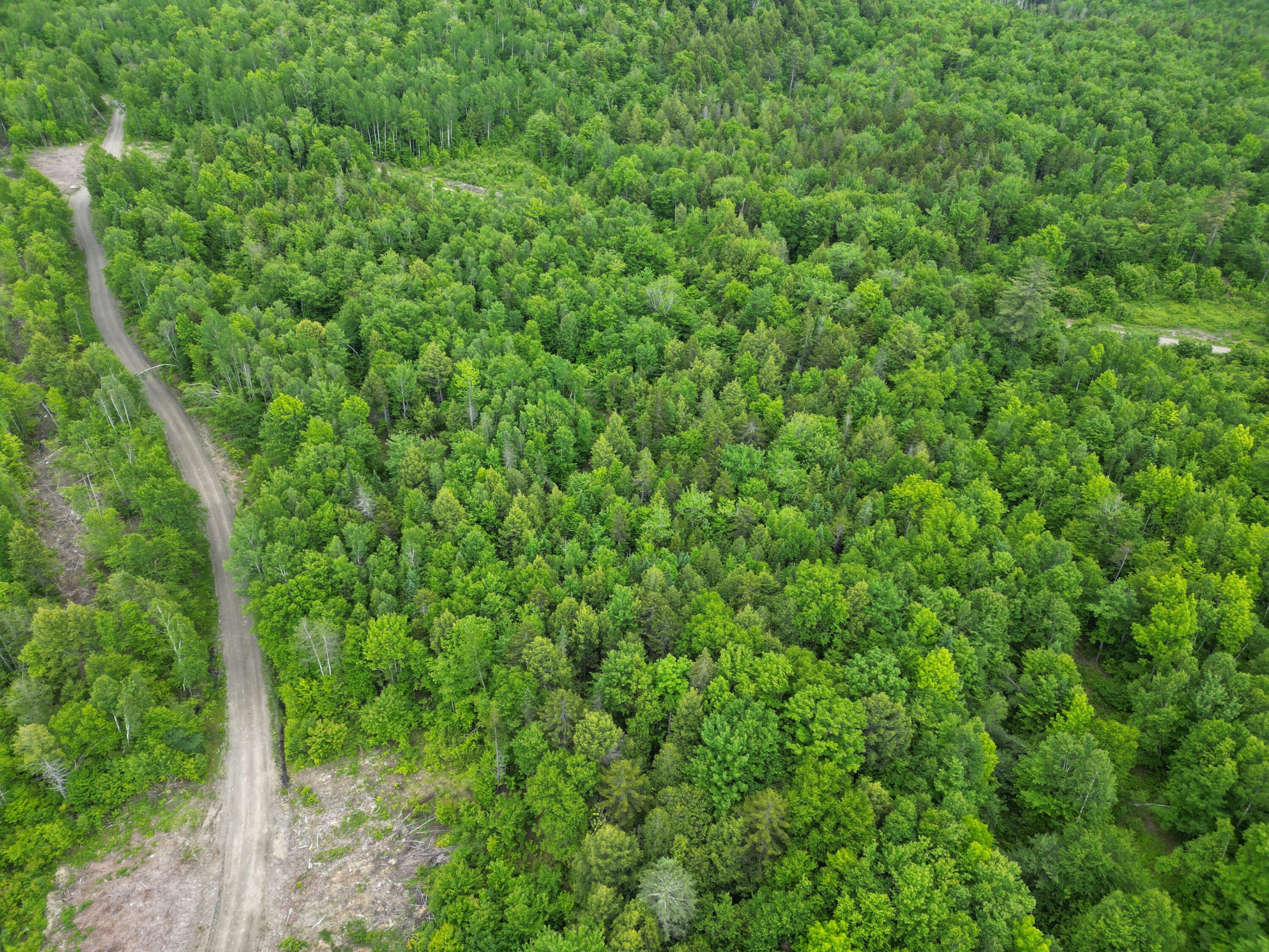 Lot 8 Moores Road Springfield, ME 04487 - Photo 11 of 16 DJI_0261