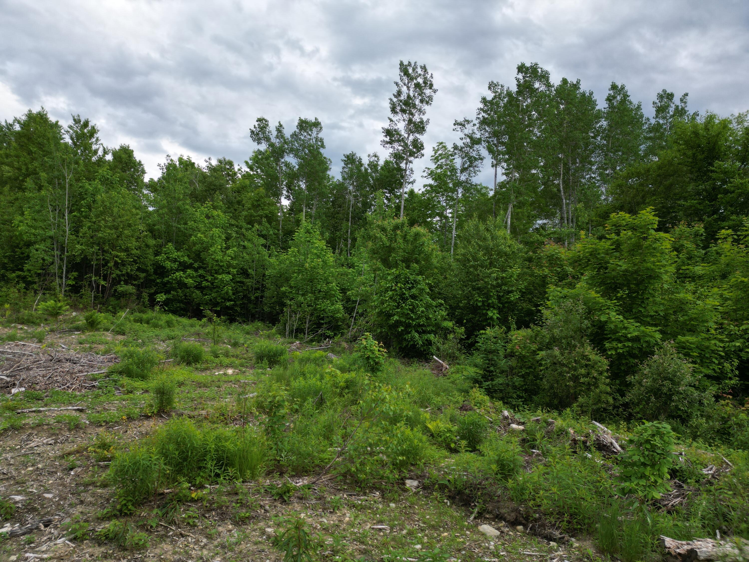 Lot 8 Moores Road Springfield, ME 04487 - Photo 14 of 16 DJI_0270