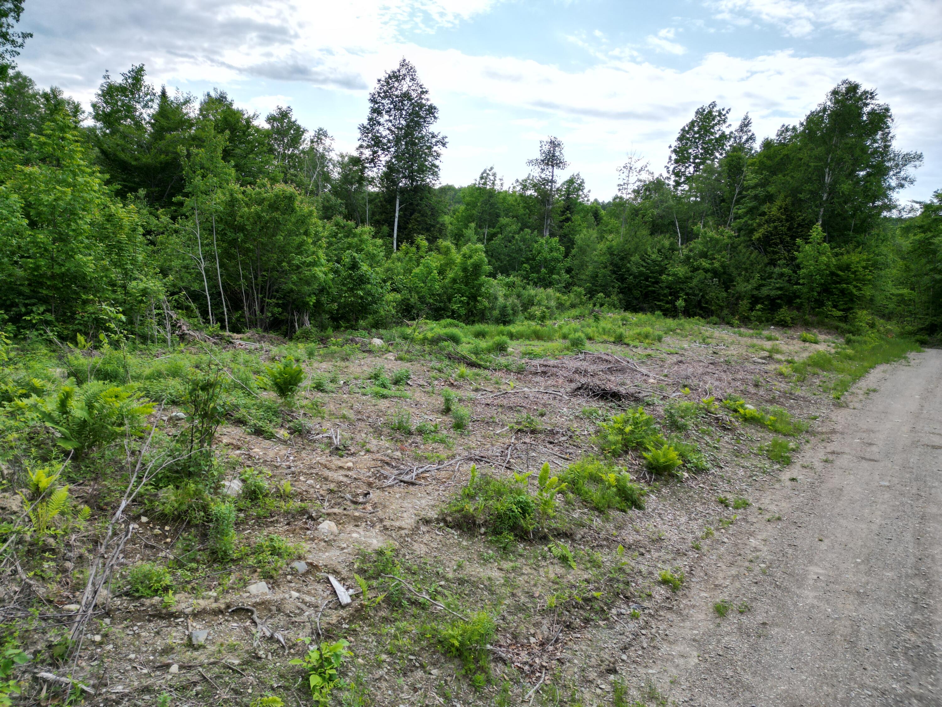 Lot 8 Moores Road Springfield, ME 04487 - Photo 2 of 16 DJI_0263