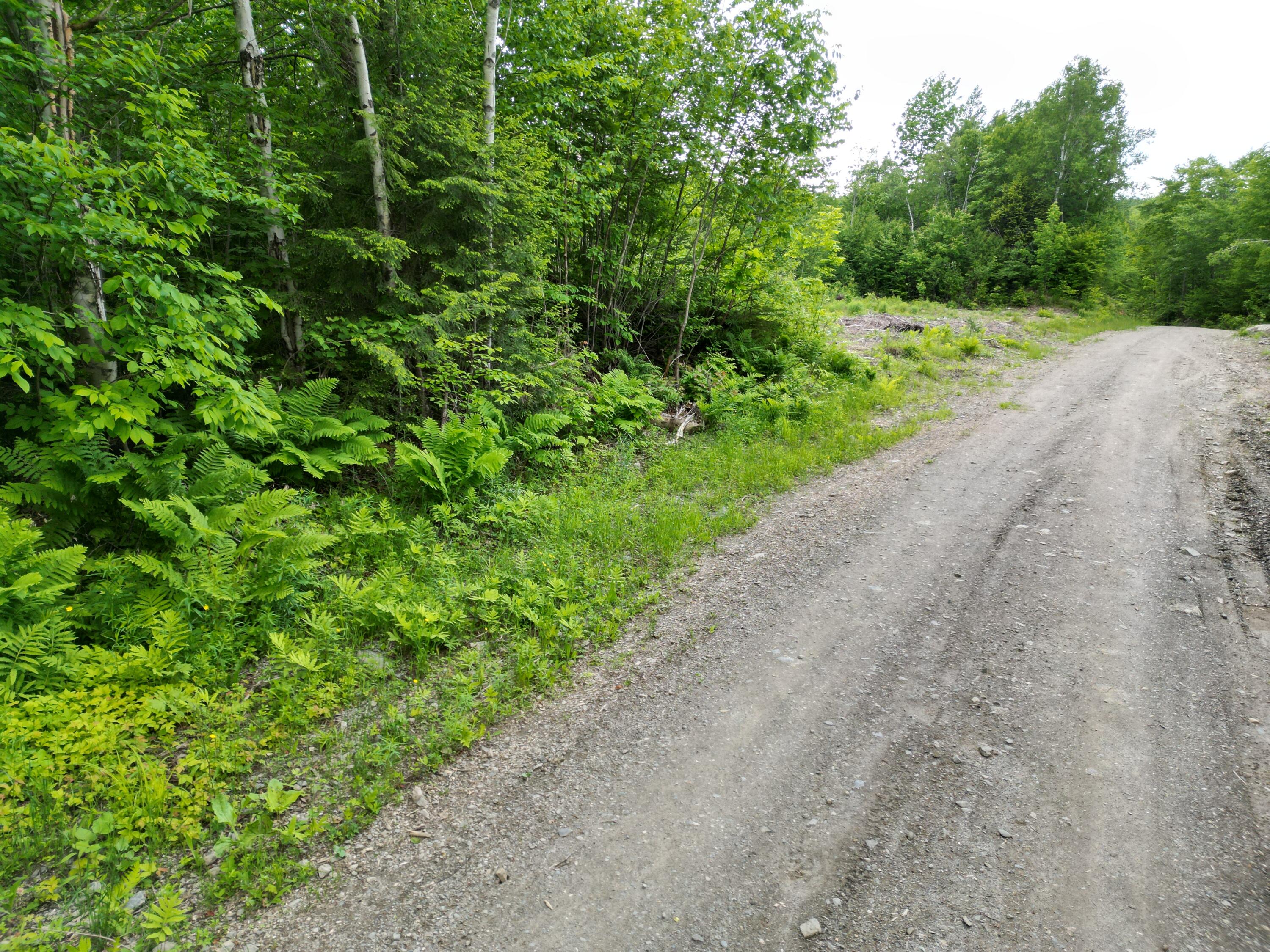 Lot 8 Moores Road Springfield, ME 04487 - Photo 3 of 16 DJI_0262