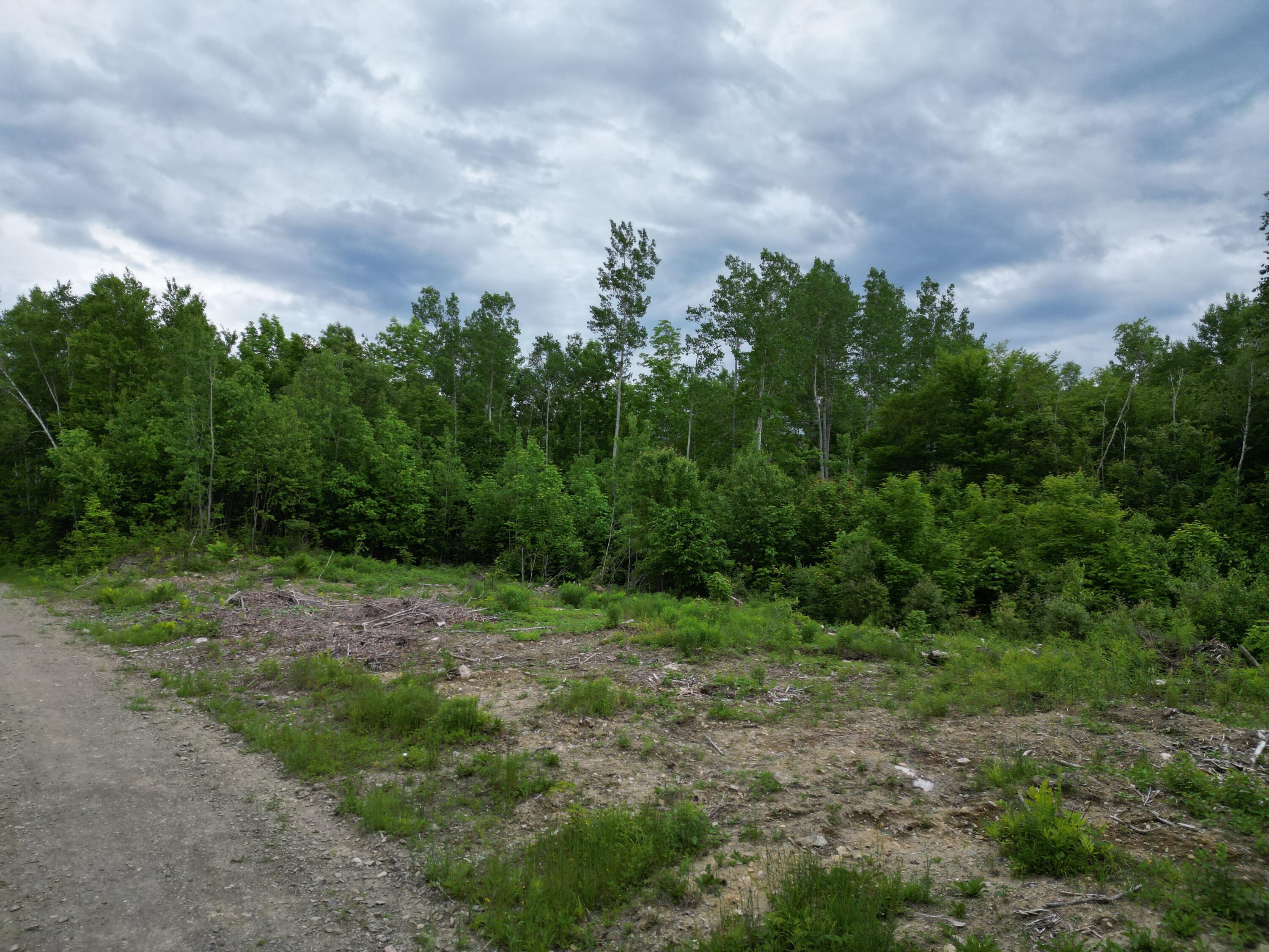 Lot 8 Moores Road Springfield, ME 04487 - Photo 5 of 16 DJI_0269