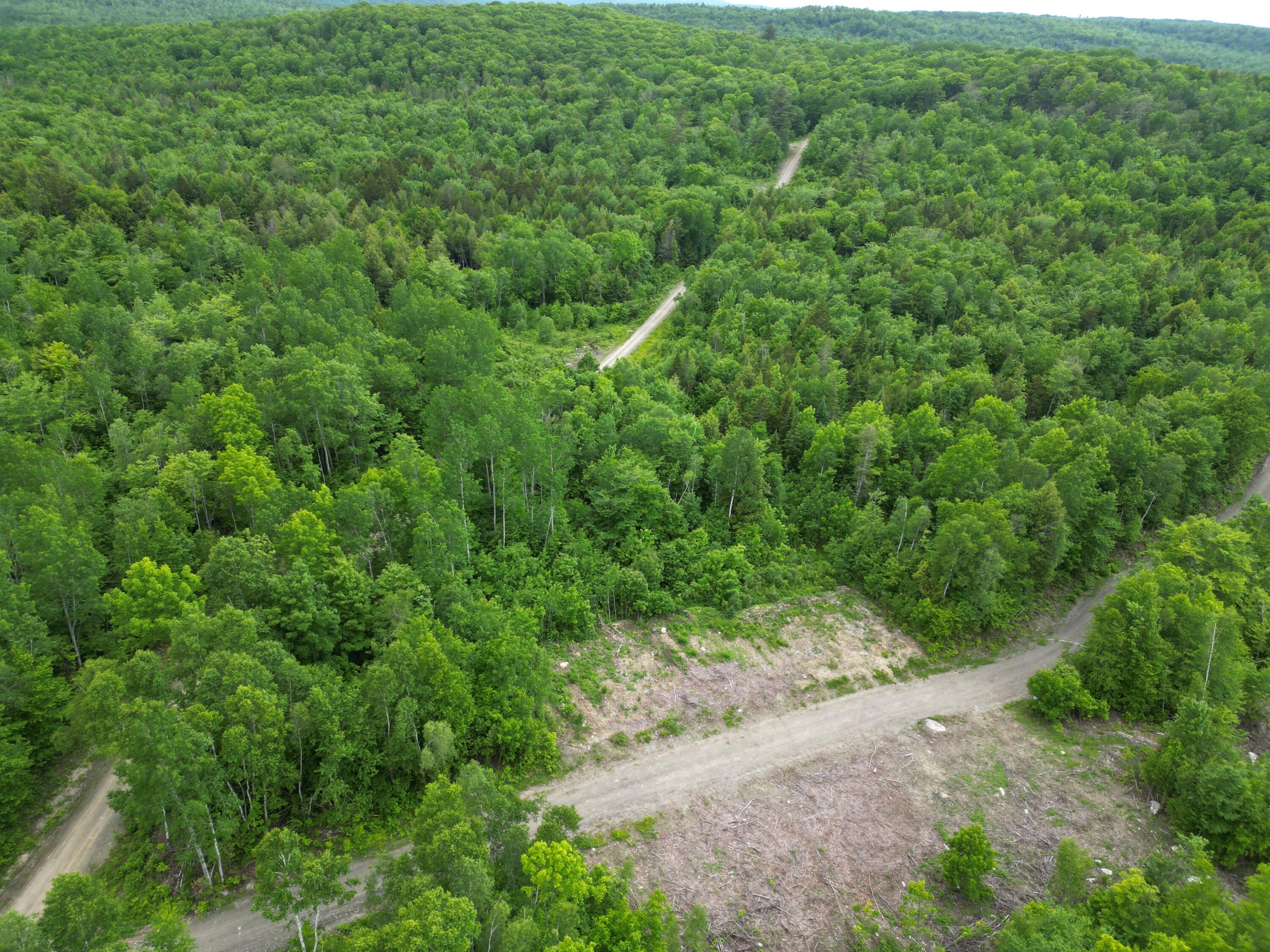 Lot 8 Moores Road Springfield, ME 04487 - Photo 9 of 16 DJI_0259