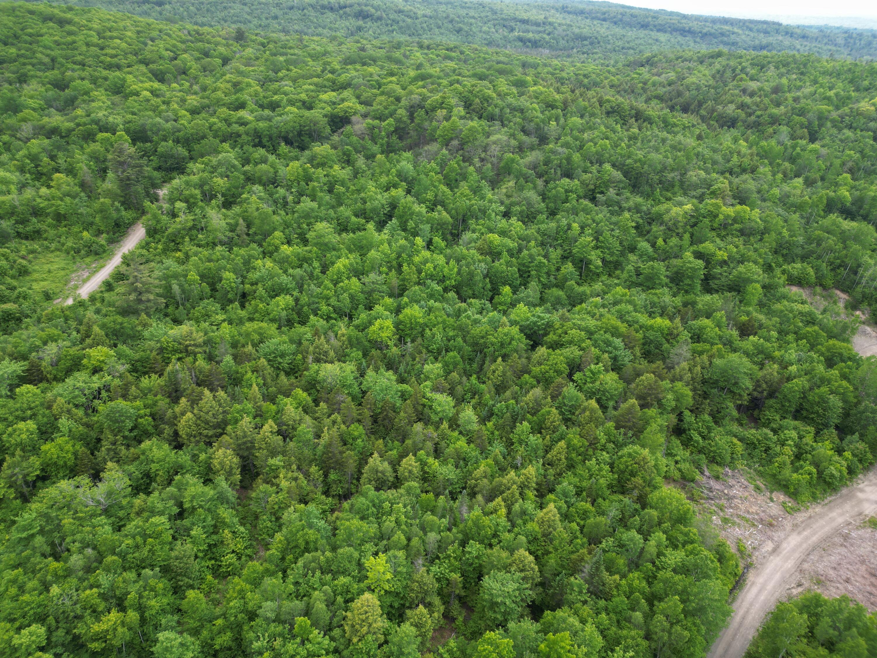 Lot 8 Moores Road Springfield, ME 04487 - Photo 10 of 16 DJI_0260