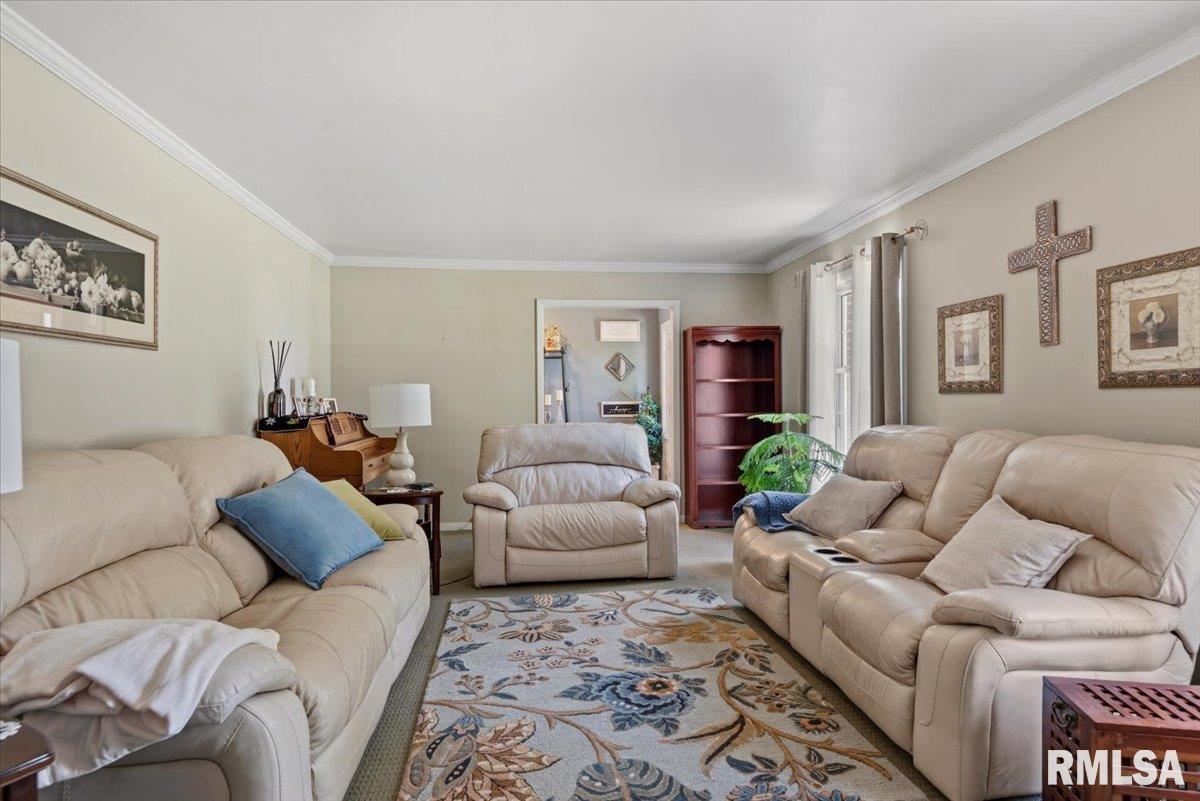 23 Circle Drive Rochester, IL 62563 - Photo 11 of 67