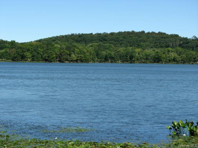 962 Rte 9W, Unit 106 Congers, NY 10920 - Photo 37 of 48