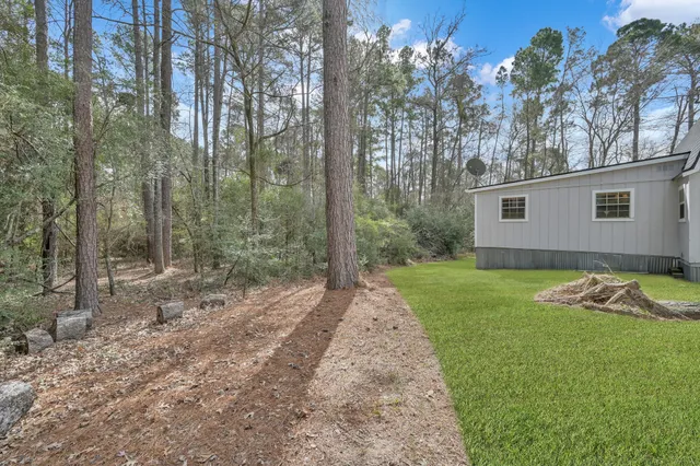 a view of a backyard with large trees