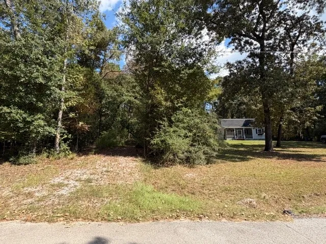 a view of a yard covered in snow