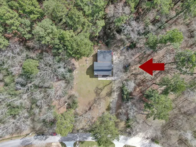 a close up of a plant in a window