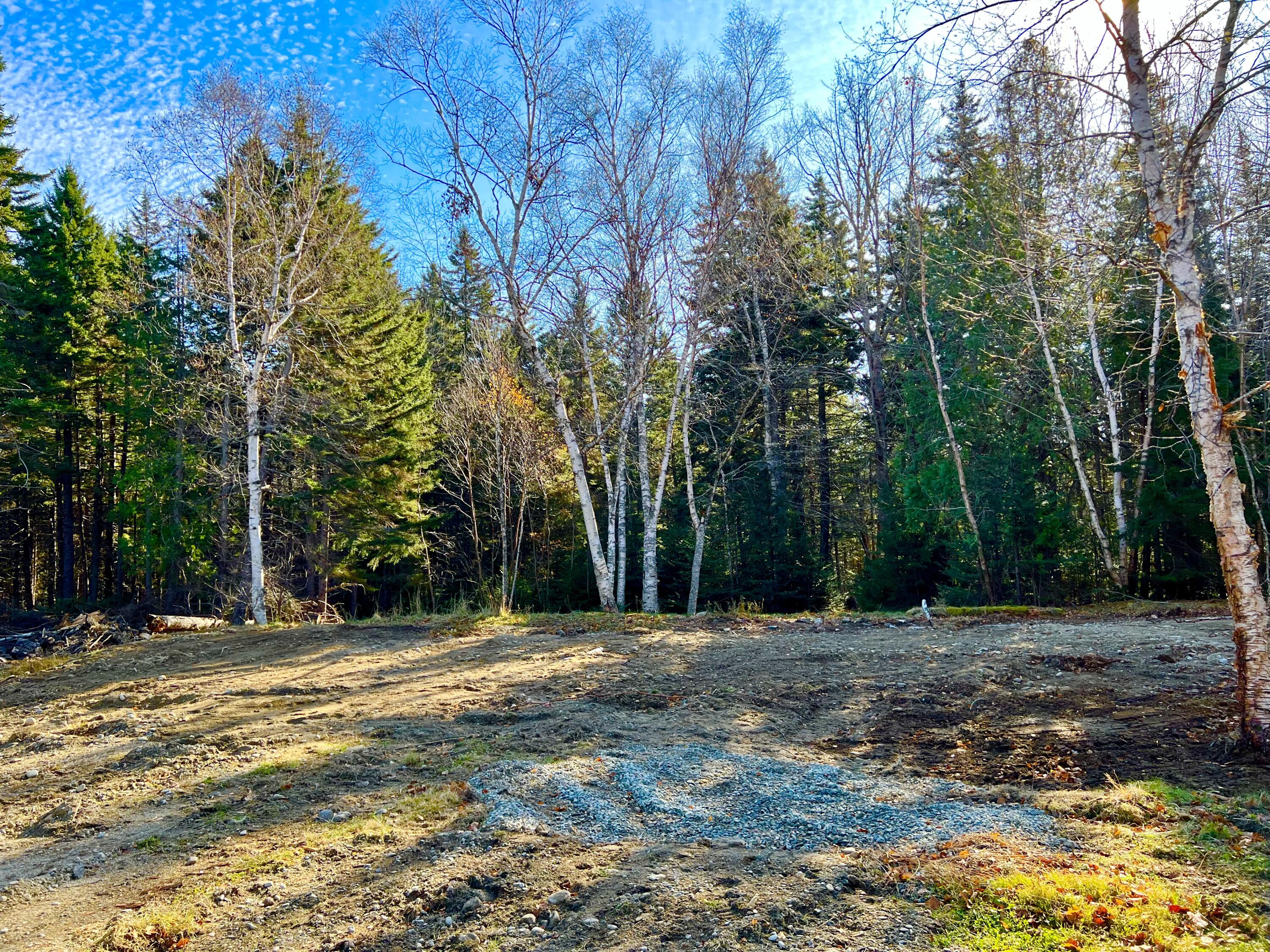 56 Dodge Point Road Tremont, ME 04612 - Photo 11 of 26 Cleared spot for your home
