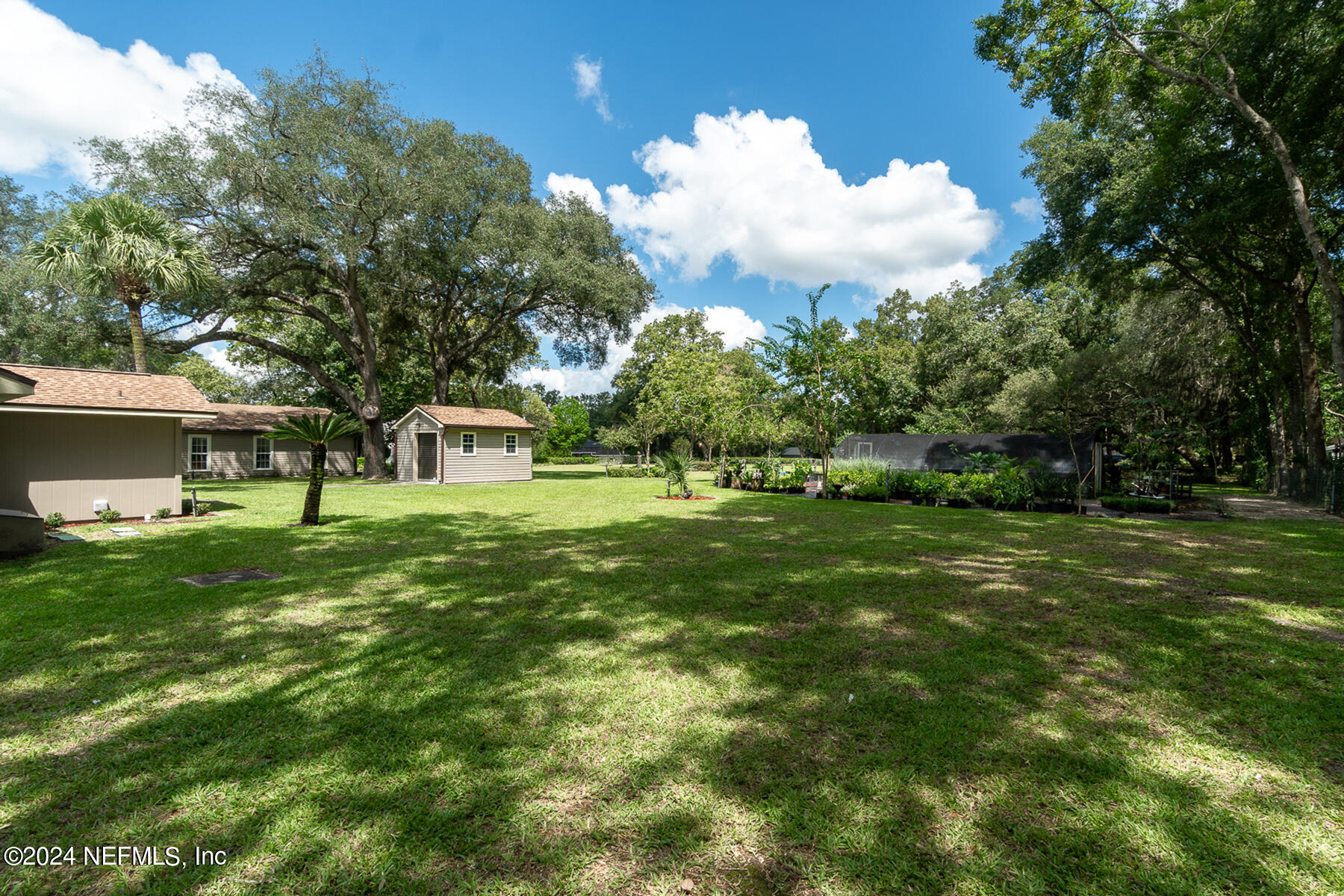 265 Branscomb Road Green Cove Springs, FL 32043 - Photo 17 of 75 Ext Backyard Right