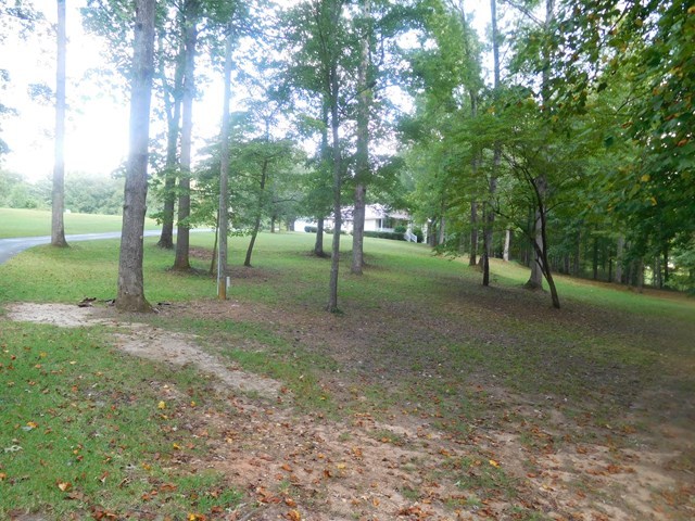 6905 Lower Thomaston Road Macon, GA 31220 - Photo 8 of 18 a view of a trees in a park