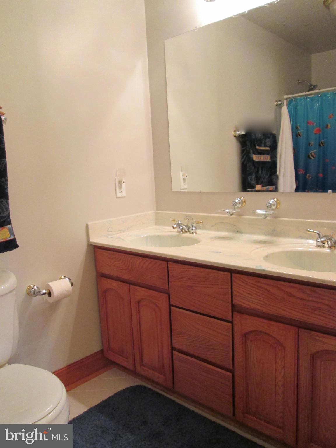 3851 Prospect Road Street, MD 21154 - Photo 22 of 30 Bath #2