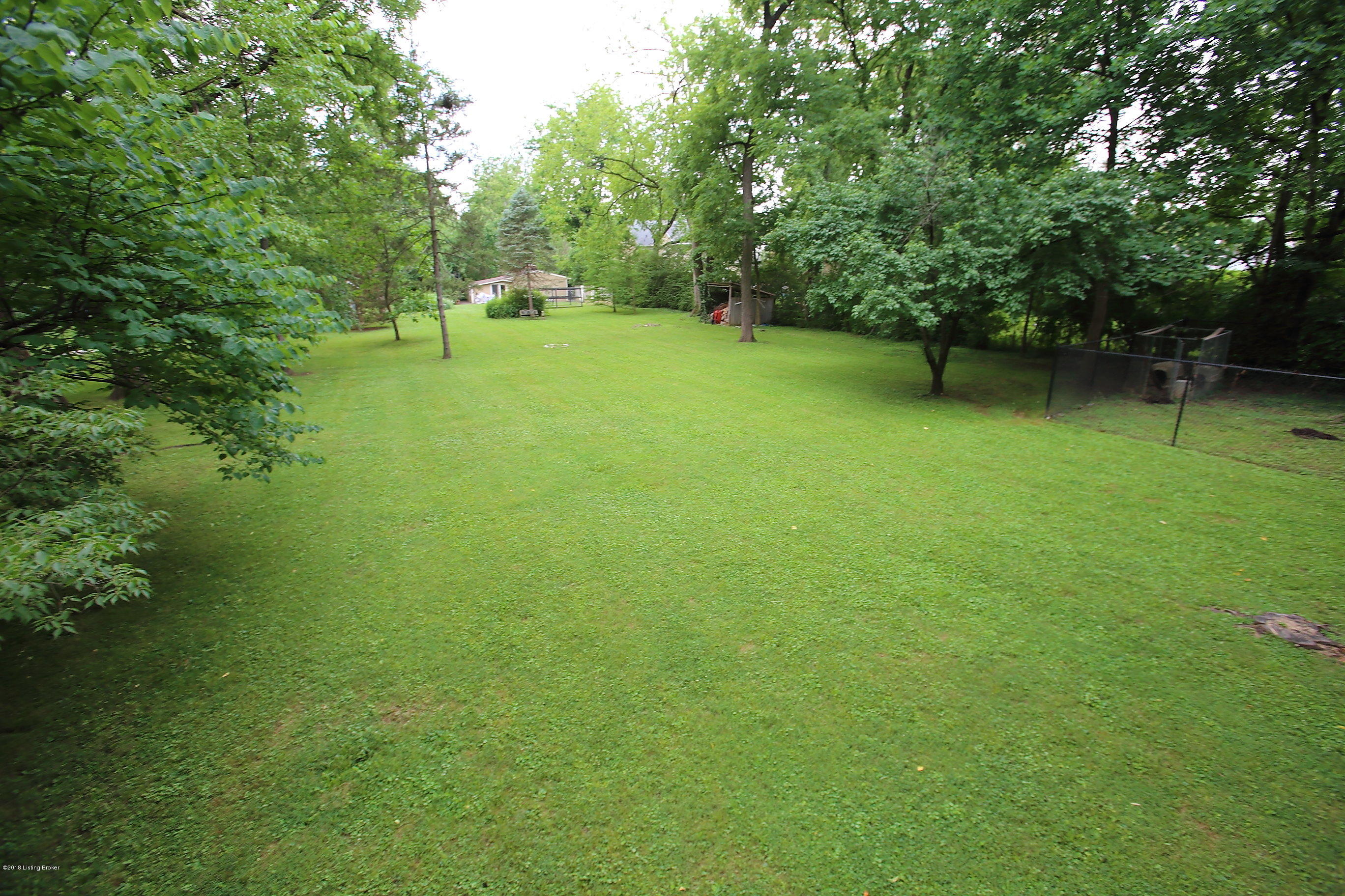 3311 Lexington Road Louisville, KY 40206 - Photo 58 of 68 Backyard