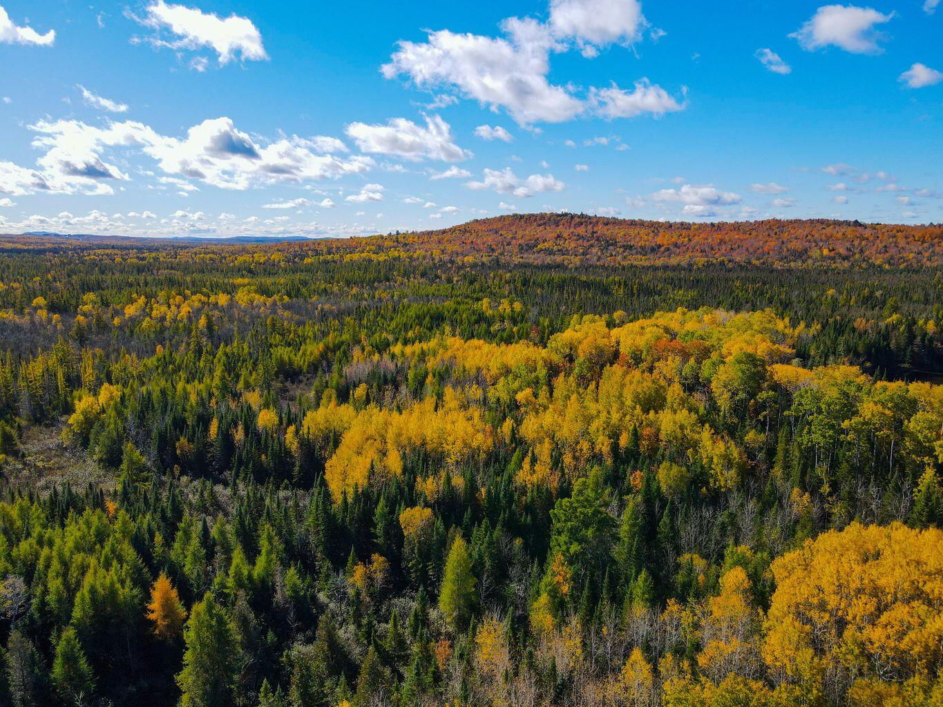 Map3-lot1 Mapleton Road Mapleton, ME 04757 - Photo 5 of 16 Mapletonroad5