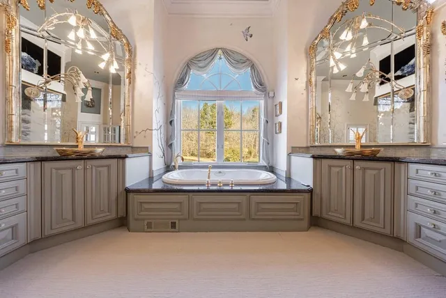 a front view of house with a garden