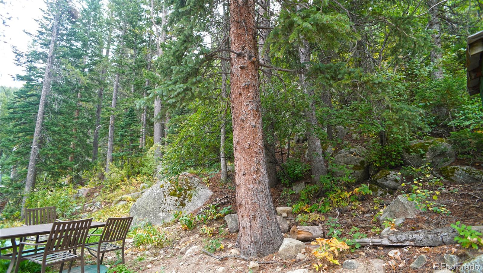 418 Peaceful Valley Road Lyons, CO 80540 - Photo 9 of 40 Gallery Image 9