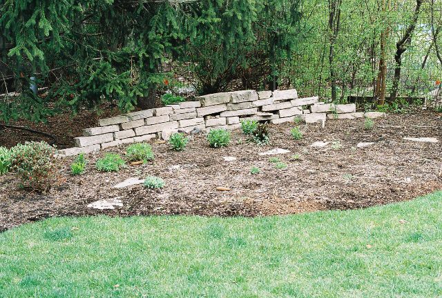 a view of yard with green space