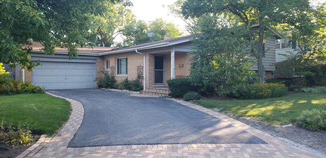 a view of a yard with plants and large trees
