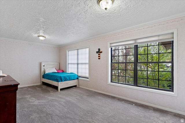 321 West 2575 North Sunset, UT 84015 - Photo 16 of 30