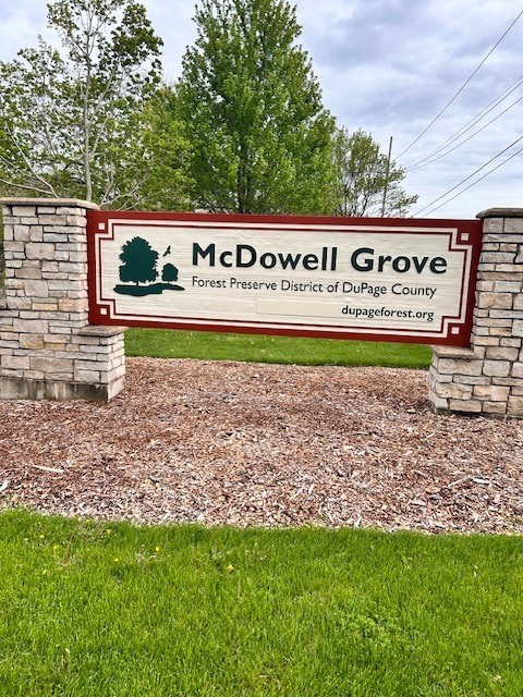804 Manchester Street Naperville, IL 60563 - Photo 29 of 30