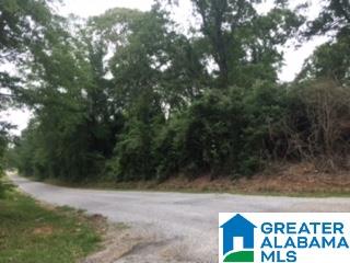 0 North Dakota Road, Unit 1 Thorsby, AL 35171 - Photo 4 of 6