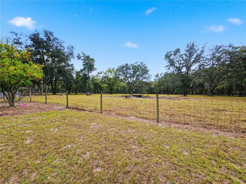 21210 137th Drive O'Brien, FL 32071 - Photo 23 of 49 a view of a field with trees in the background