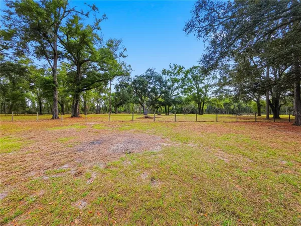 a view of yard with trees