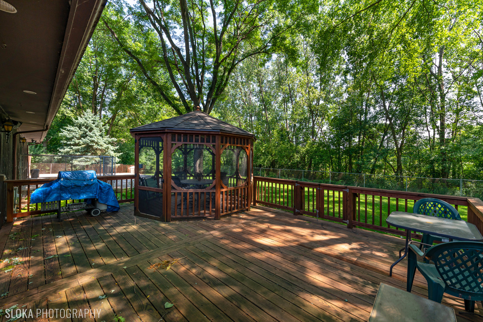 103 Roberts Road Inverness, IL 60010 - Photo 22 of 30