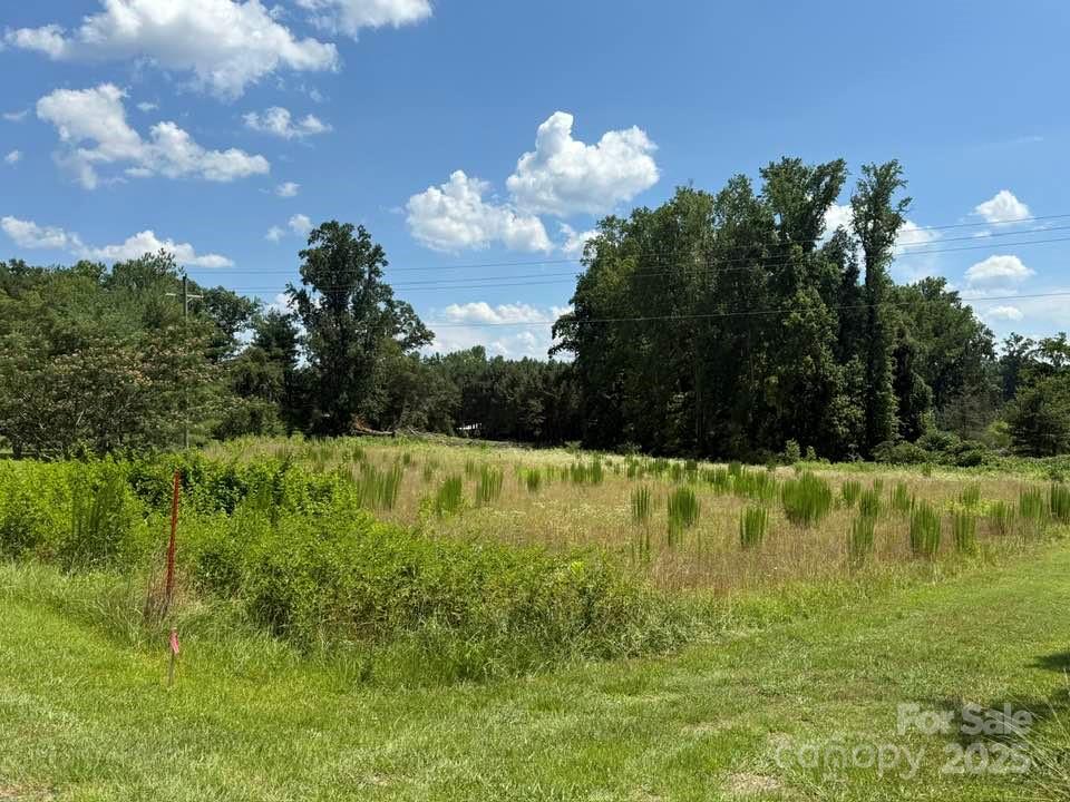 0 Chesnee Road Columbus, NC 28722 - Photo 8 of 21 a view of a yard